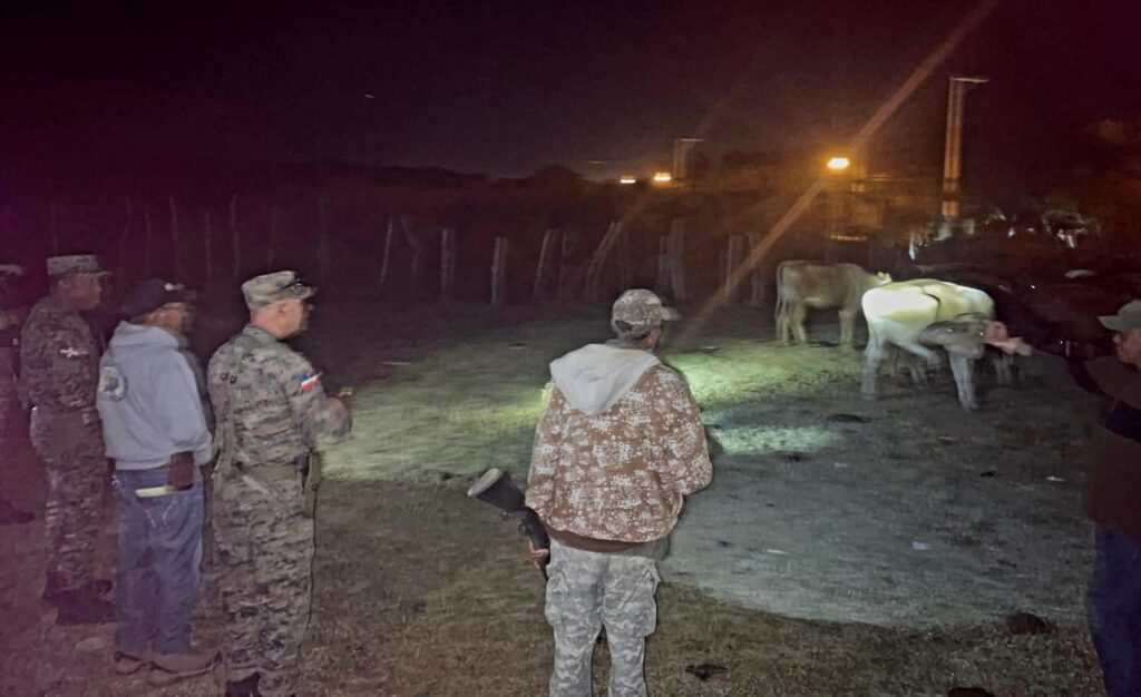 Ejército RD recupera ganado robado en una hacienda de Dajabón