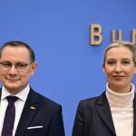 Los servicios de inteligencia del Gobierno de Alemania clasifican a Afd como partido «de extrema derecha»
