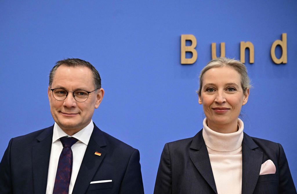 Los servicios de inteligencia del Gobierno de Alemania clasifican a Afd como partido «de extrema derecha»