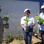 Digecac continúa embelleciendo la carretera Mella y siembra más de 1,200 plantas en la pared perimetral de la FARD