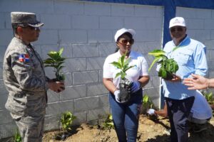 Digecac continúa embelleciendo la carretera Mella y siembra más de 1,200 plantas en la pared perimetral de la FARD