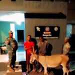 Apresan a dos cuatreros sorprendidos con un burro reportado como robado