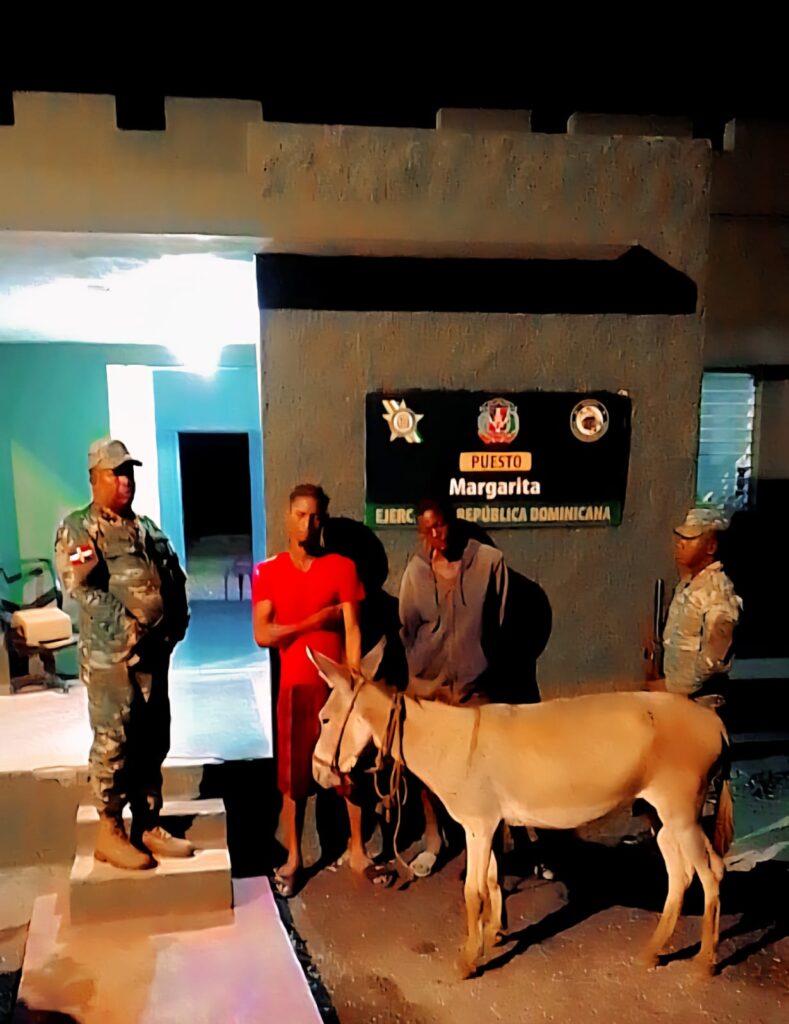 Apresan a dos cuatreros sorprendidos con un burro reportado como robado