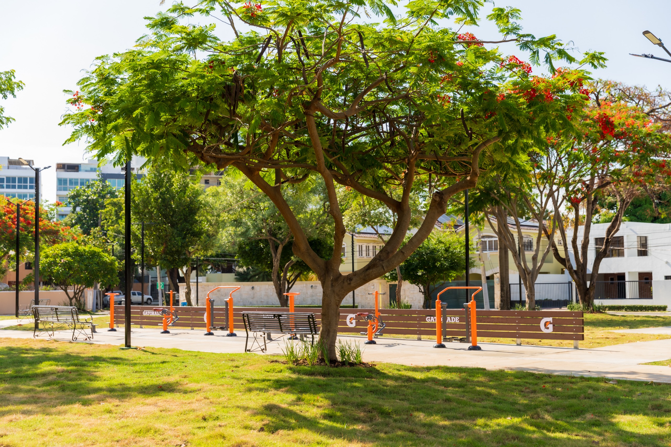 ADN inaugura el parque Areíto, un minipulmón ecológico en Los Cacicazgos