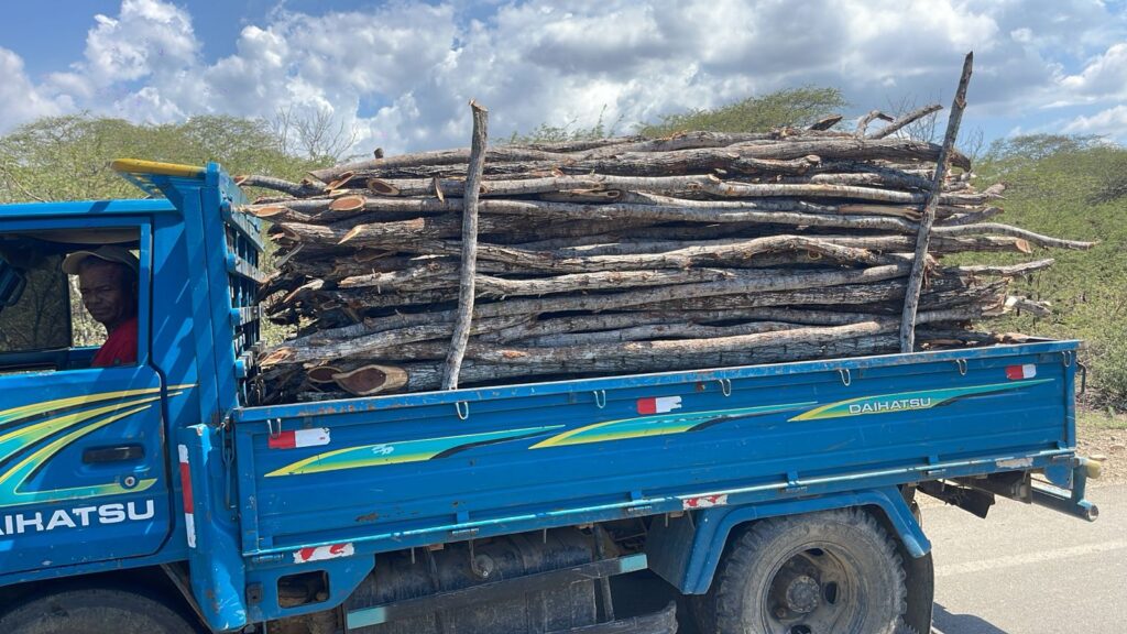 Apresan a un hombre en camión cargado de madera sin documentación legal en Montecristi