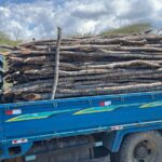Apresan a un hombre en camión cargado de madera sin documentación legal en Montecristi
