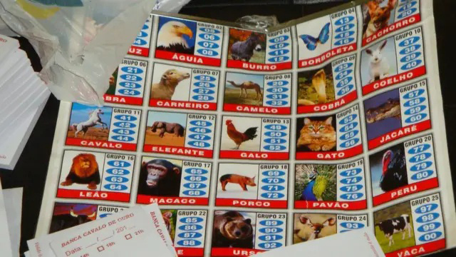 La lotería del crimen: así opera el ‘jogo do bicho’ en Brasil