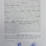 La JCE ordena al Partido Camino Nuevo retirar propaganda anticipada