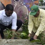 Digecac realiza labores de poda y embellecimiento en el Centro UASD-Monte Plata